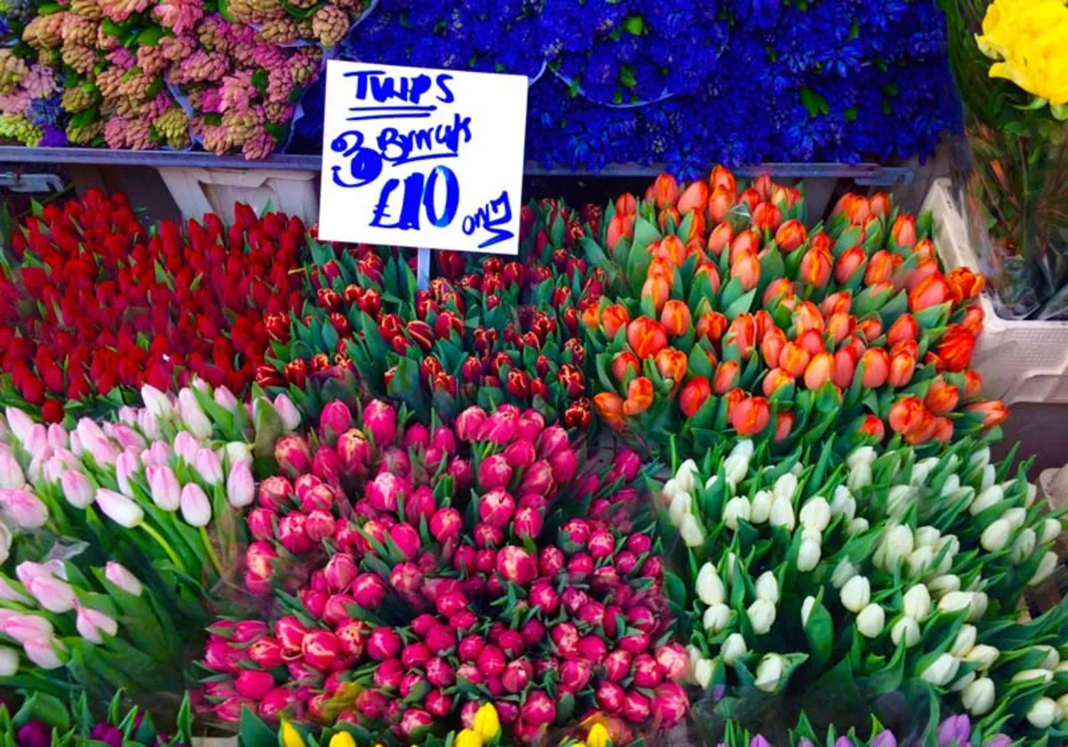 بازار فلاور (Columbia Road Flower Market)