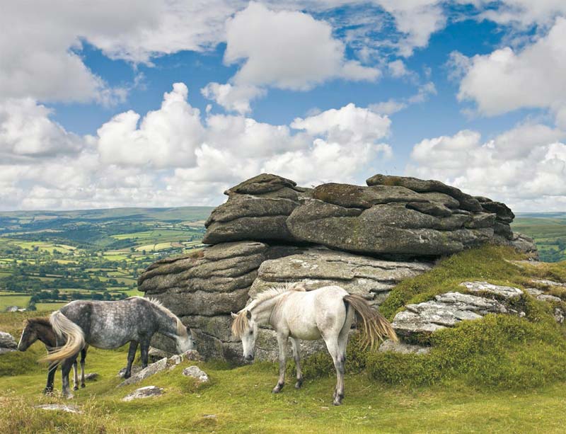 پارک ملی دارتمور (Dartmoor National Park)