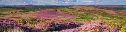 پارک ملی نورثامبرلند (Northumberland National Park)