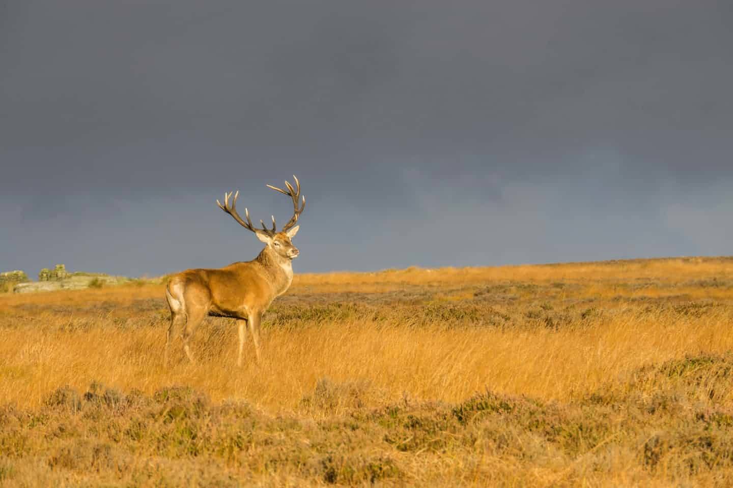 پارک ملی پیک دیستریکت (Peak District National Park)