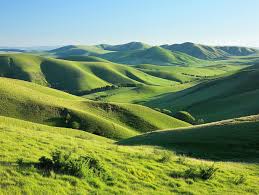 پارک ملی چیویوت هیلز (Cheviot Hills)